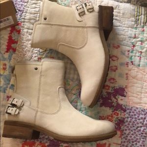 Brand new with box ugg cream ankle boots